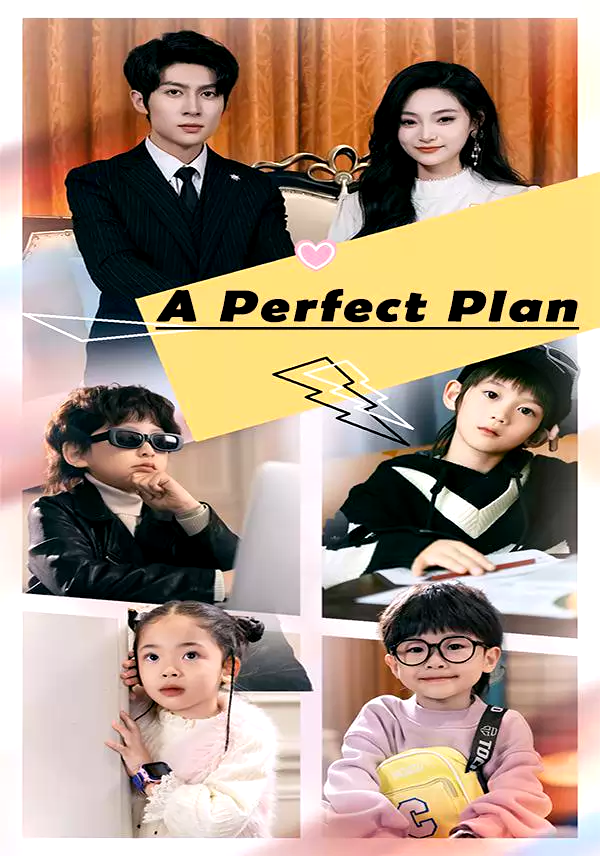 A Perfect Plan