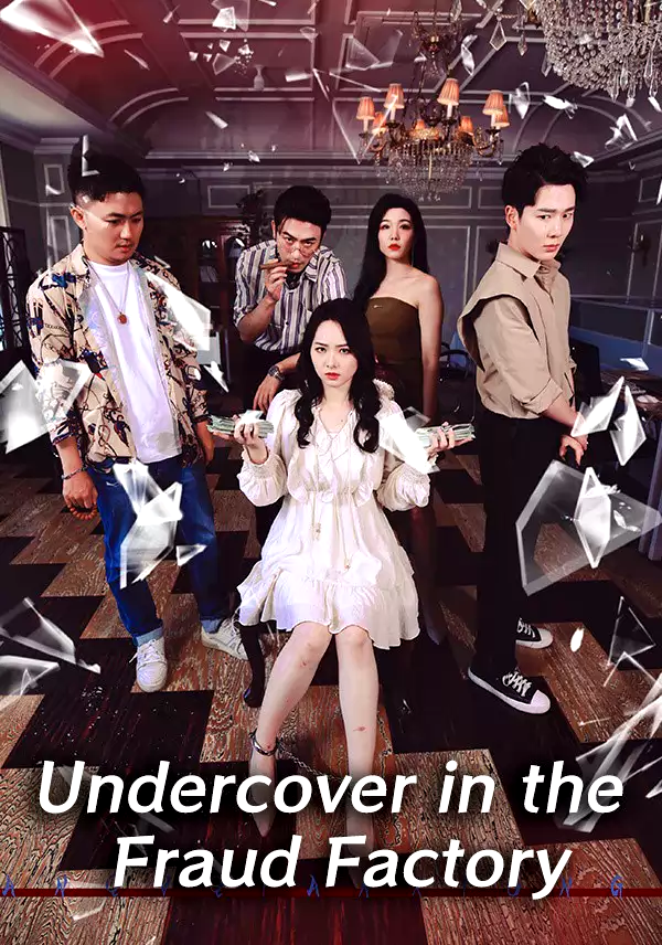 Undercover in the Fraud Factory
