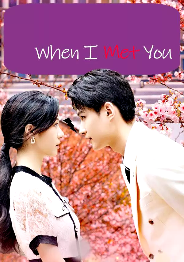 When I Met You