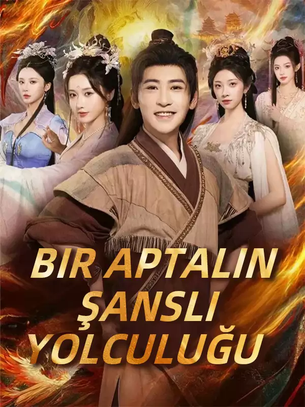 Bir Aptalın Şanslı Yolculuğu