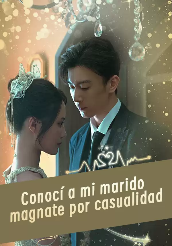 Conocí a mi marido magnate por casualidad
